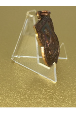 หลวงปู่ทวด วัดตานีนรสโมสร ปัตตานี ปลุกเสกโดย พ่อท่านพล วัดนาประดู่ ปัตตานี ศิษย์หลวงปู่ทวดรุ่น 3 No. 48